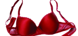 Are You Wearing the Right Bra?